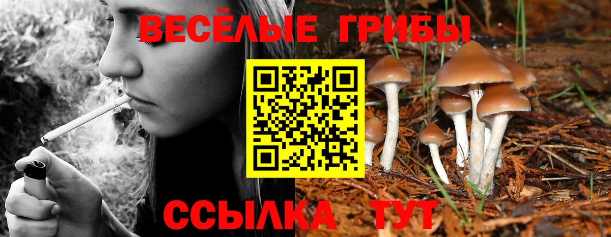 Бузулук  Галлюциногенные грибы GOLDEN TEACHER  Вход с VPN 