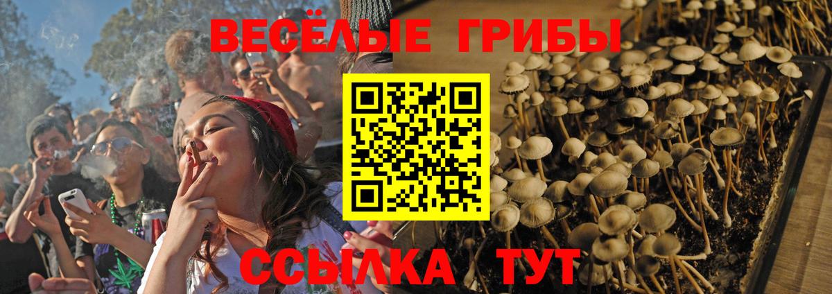 Галлюциногенные грибы Cubensis Бузулук
