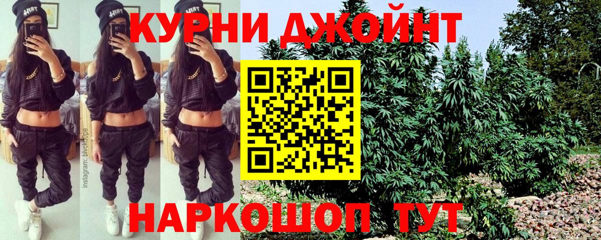 Бошки Шишки план Бузулук